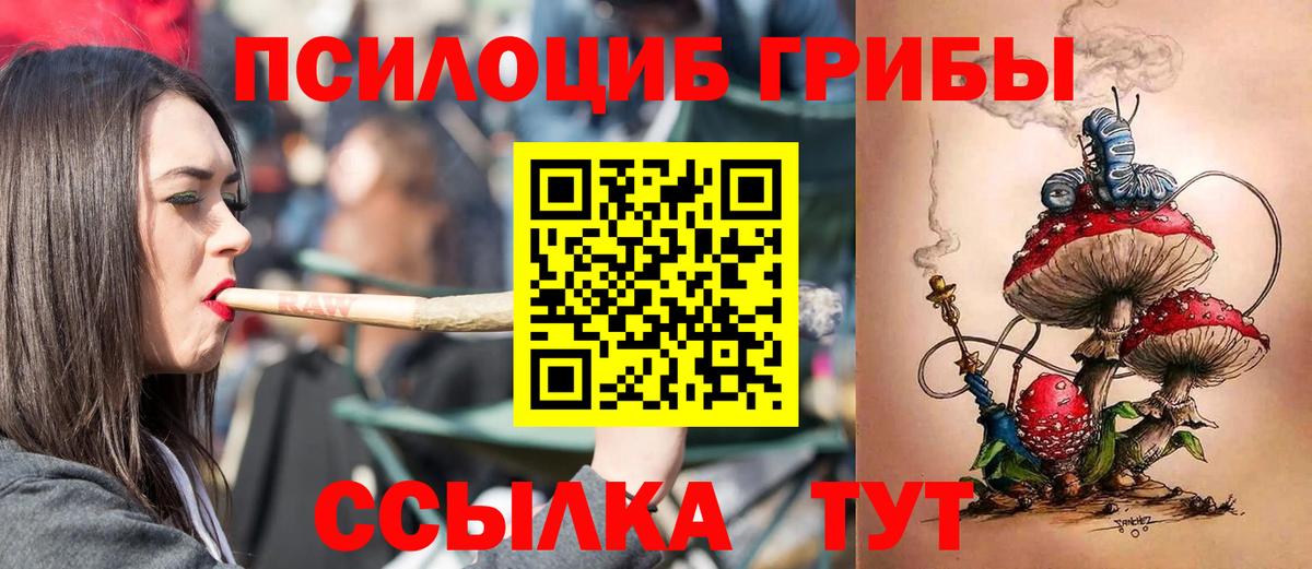 Галлюциногенные грибы Psilocybe Люберцы